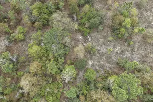 000 Darlington Dr, Chipley, FL 32428 - Photo 1