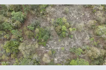 000 Darlington Drive, Chipley, FL 32428 - Photo 4