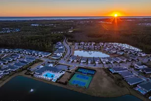 246 Naturewalk Blvd, Watersound, FL 32461 - Photo 16