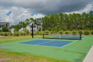 204 E E Firethorn Circle, Inlet Beach, FL 32461 - Photo 60