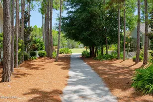204 E E Firethorn Circle, Inlet Beach, FL 32461 - Photo 64