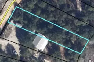 Tbd Woodymarion Dr, Chipley, FL 32428 - Photo 1