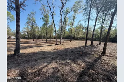 Tbd Silver Lake N, Marianna, FL 32448 - Photo 4