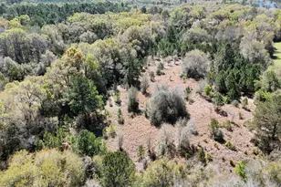 2048 Brotherhood Memorial Ln, Bonifay, FL 32425 - Photo 38