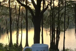 2730 Mosquito Rd, Chipley, FL 32428 - Photo 10