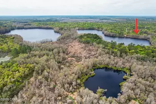 2730 Mosquito Rd, Chipley, FL 32428 - Photo 14