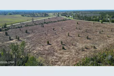 Tbd SW Lot #2, SW County Road 275, Blountstown, FL 32424 - Photo 2