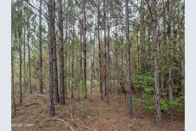 0 Sumac Road #Lot 49, Westville, FL 32464 - Photo 1