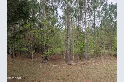 0 Sumac Road #Lot 49, Westville, FL 32464 - Photo 2