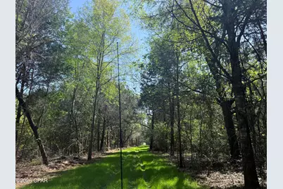 Tbd Sheffield Drive, Marianna, FL 32446 - Photo 2