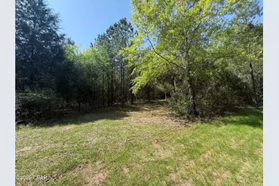 Tbd Sheffield Drive, Marianna, FL 32446 - Photo 1