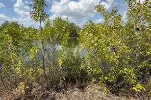 2206 1st Pl, Cape Coral, FL 33909 - Photo 6