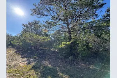 Lot 12 Colmart Drive #19, Chipley, FL 32428 - Photo 2