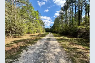 [Address not provided], Westville, FL 32464 - Photo 1