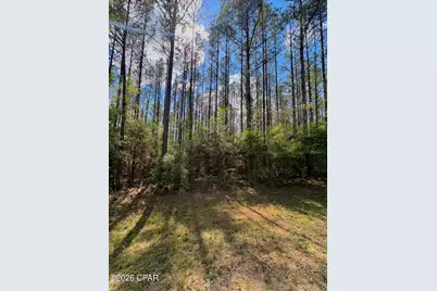 [Address not provided], Westville, FL 32464 - Photo 4