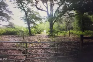 5198 Millers Ferry Rd, Vernon, FL 32462 - Photo 38