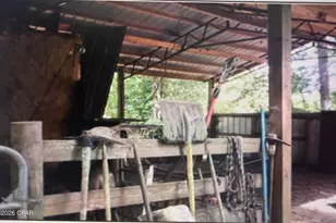 5198 Millers Ferry Rd, Vernon, FL 32462 - Photo 36