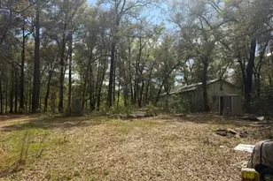 5198 Millers Ferry Rd, Vernon, FL 32462 - Photo 10