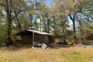 5198 Millers Ferry Rd, Vernon, FL 32462 - Photo 8