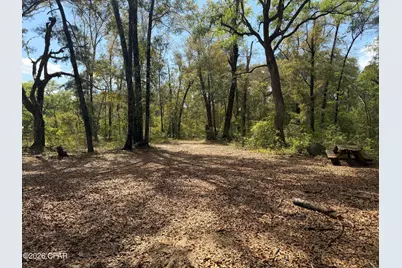 5198 Millers Ferry Road, Vernon, FL 32462 - Photo 12