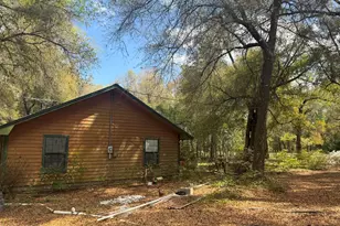 5198 Millers Ferry Rd, Vernon, FL 32462 - Photo 4