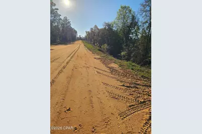 Tbd Olivia Drive, Alford, FL 32420 - Photo 6