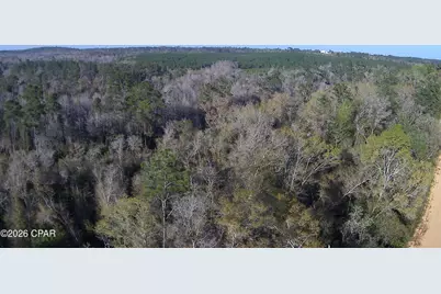 Tbd Olivia Drive, Alford, FL 32420 - Photo 8