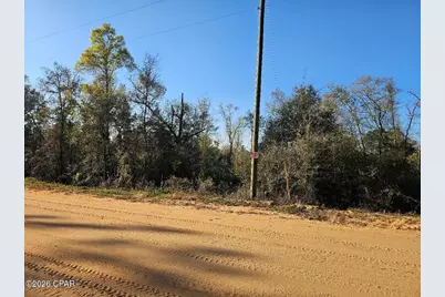 Tbd Olivia Drive, Alford, FL 32420 - Photo 4