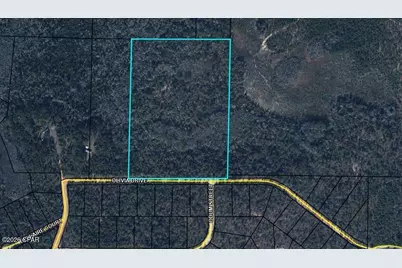 Tbd Olivia Drive, Alford, FL 32420 - Photo 2