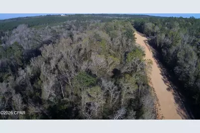 Tbd Olivia Drive, Alford, FL 32420 - Photo 14