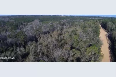 Tbd Olivia Drive, Alford, FL 32420 - Photo 12