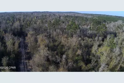 Tbd Olivia Drive, Alford, FL 32420 - Photo 10