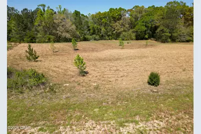 Tbd River, Vernon, FL 32462 - Photo 4