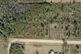 11711 Magnolia St, Fountain, FL 32438 - Photo 1