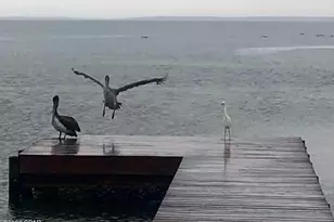 6422 W Hwy 98, Panama City Beach, FL 32407 - Photo 54