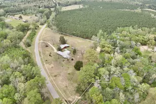 1687 Hwy 160, Westville, FL 32464 - Photo 28