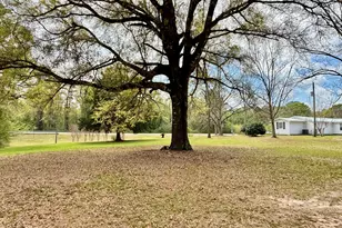 1687 Hwy 160, Westville, FL 32464 - Photo 46