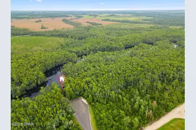 1718 SE Davis Peacock Road, Kinard, FL 32449 - Photo 12