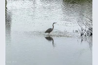 9860 S Thomas Drive #1906, Panama City, FL 32408 - Photo 38