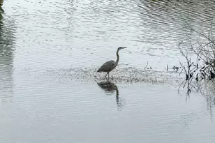 9860 S Thomas Dr, Panama City, FL 32408 - Photo 38