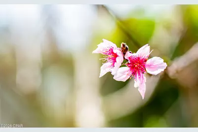 1025 W 19th Street #10C, Panama City, FL 32405 - Photo 4