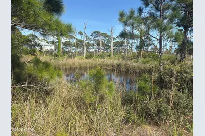 Tbd Cape San Blas Road, Port Saint Joe, FL 32456 - Photo 10