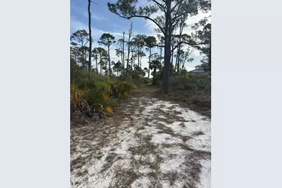 Tbd Cape San Blas Road, Port Saint Joe, FL 32456 - Photo 20