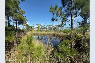 Tbd Cape San Blas Road, Port Saint Joe, FL 32456 - Photo 8