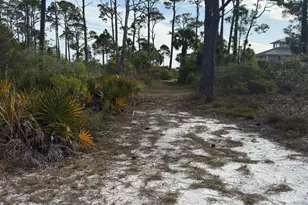 6422 Cape San Blas Rd, Port Saint Joe, FL 32456 - Photo 70