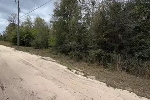 Na Pecan Shadows Dr, Youngstown, FL 32466 - Photo 2