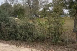 Na Pecan Shadows Dr, Youngstown, FL 32466 - Photo 6