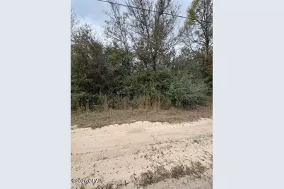 Na Pecan Shadows Drive, Youngstown, FL 32466 - Photo 1