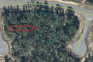 Lot 26 Shenandoah Blvd, Chipley, FL 32428 - Photo 1