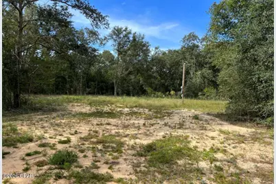 3561 Elm Road, Marianna, FL 32448 - Photo 4